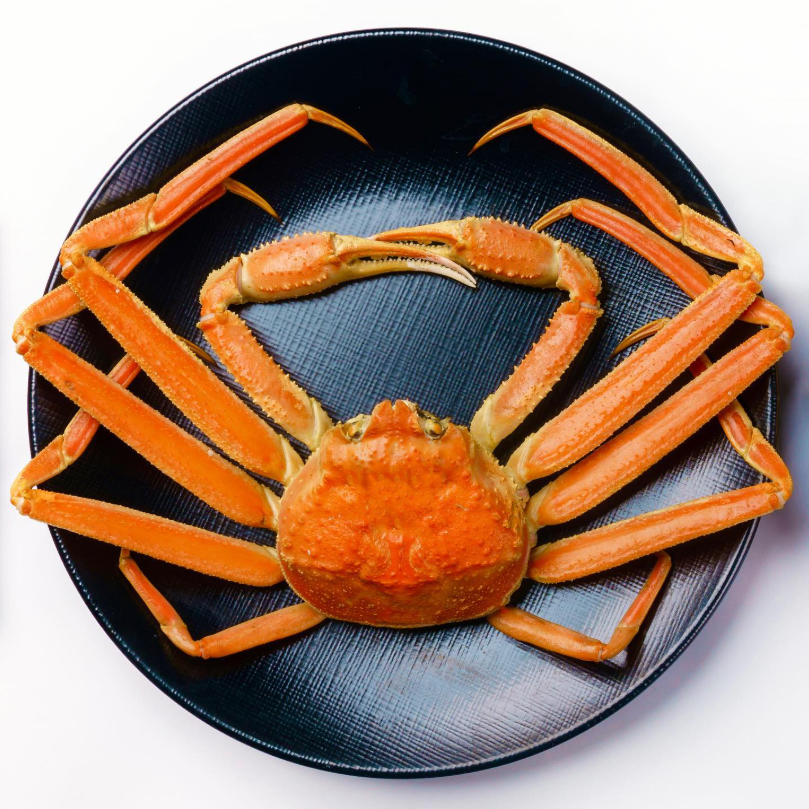 음식사진 포트폴리오 3